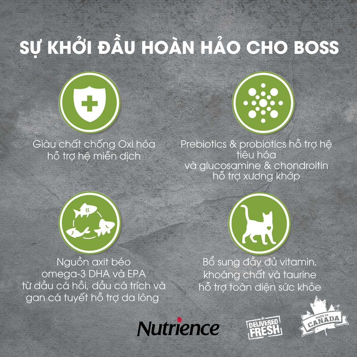 Thức Ăn Cho Mèo Con Khỏe Mạnh Nutrience Infusion Bao 2.27kg - Thịt Gà, Rau Củ Và Trái Cây Tự Nhiên