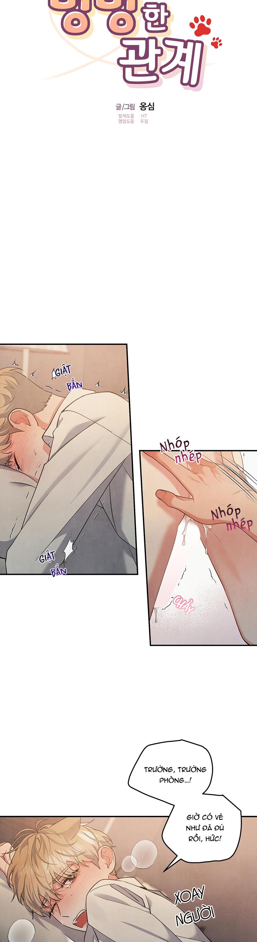 mối quan hệ ngu ngốc chapter 62 5