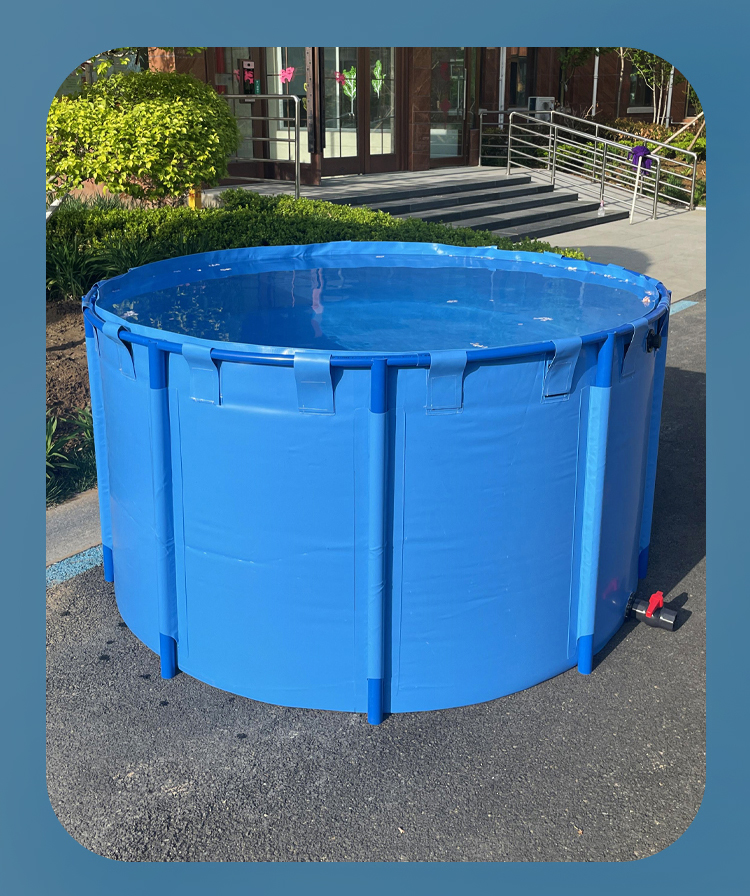 Tank Bạt dưỡng cá koi gấp gọn