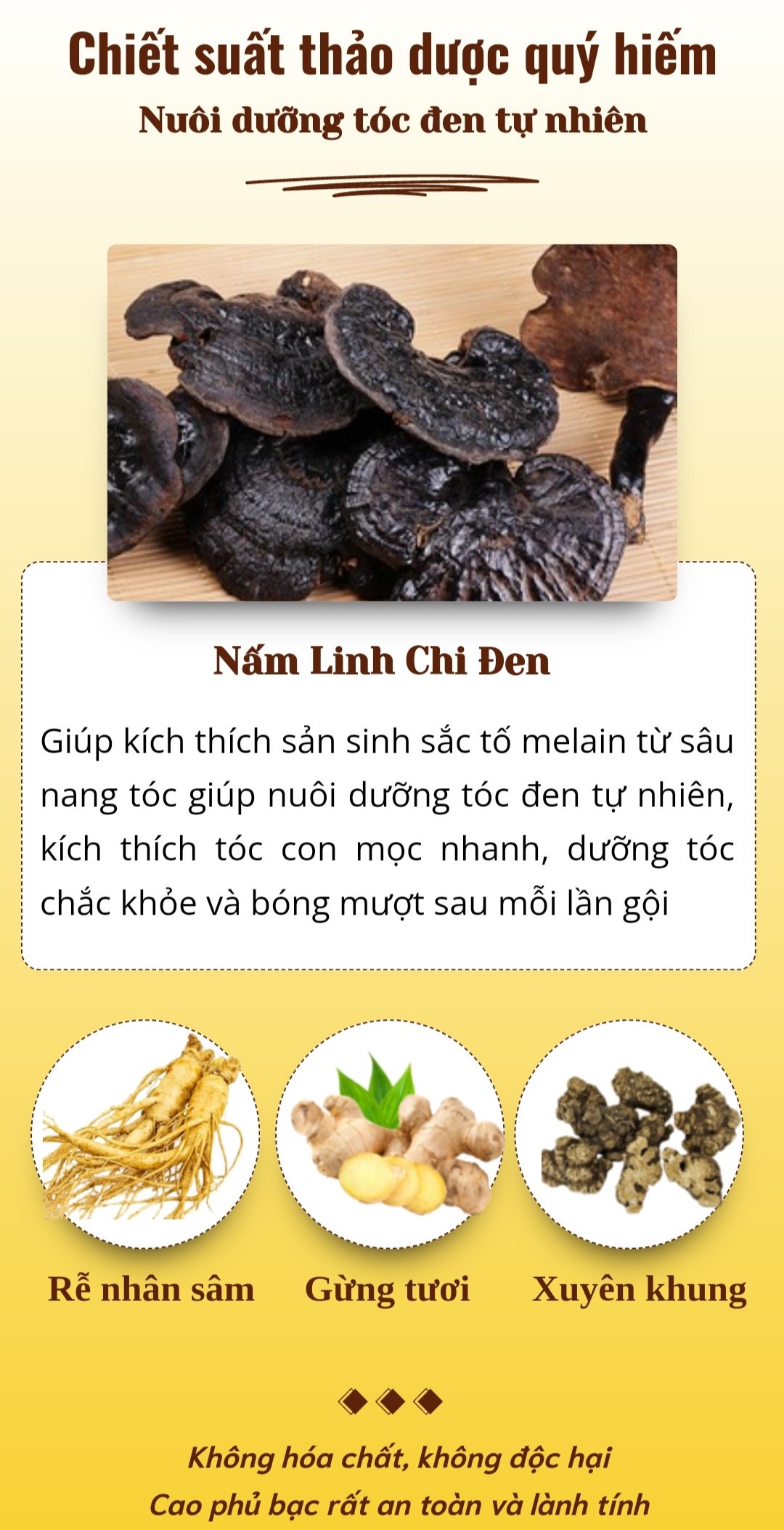 Dầu Gội Cao phủ bạc linh chi đen 300ml dầu gội phủ bạc linh chi đen phủ đen mái tóc nuôi dưỡng tóc đen khỏe bóng mượt