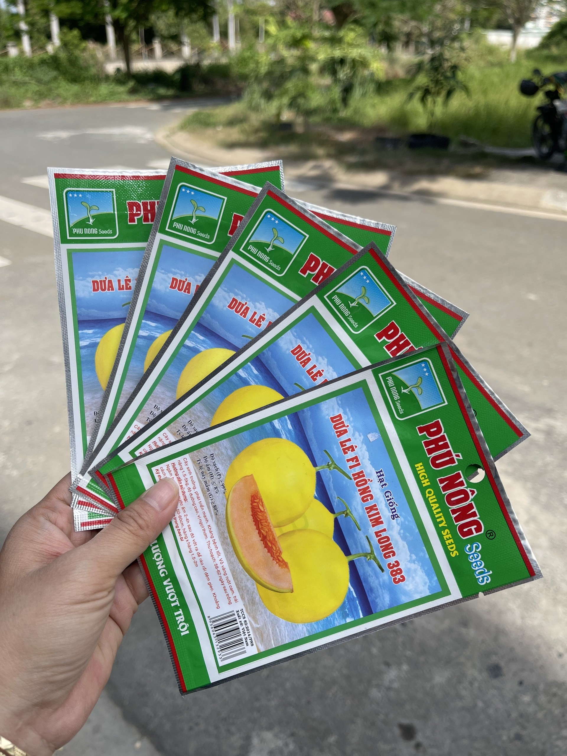 HẠT GIỐNG DƯA LÊ HỒNG KIM LONG PN-383