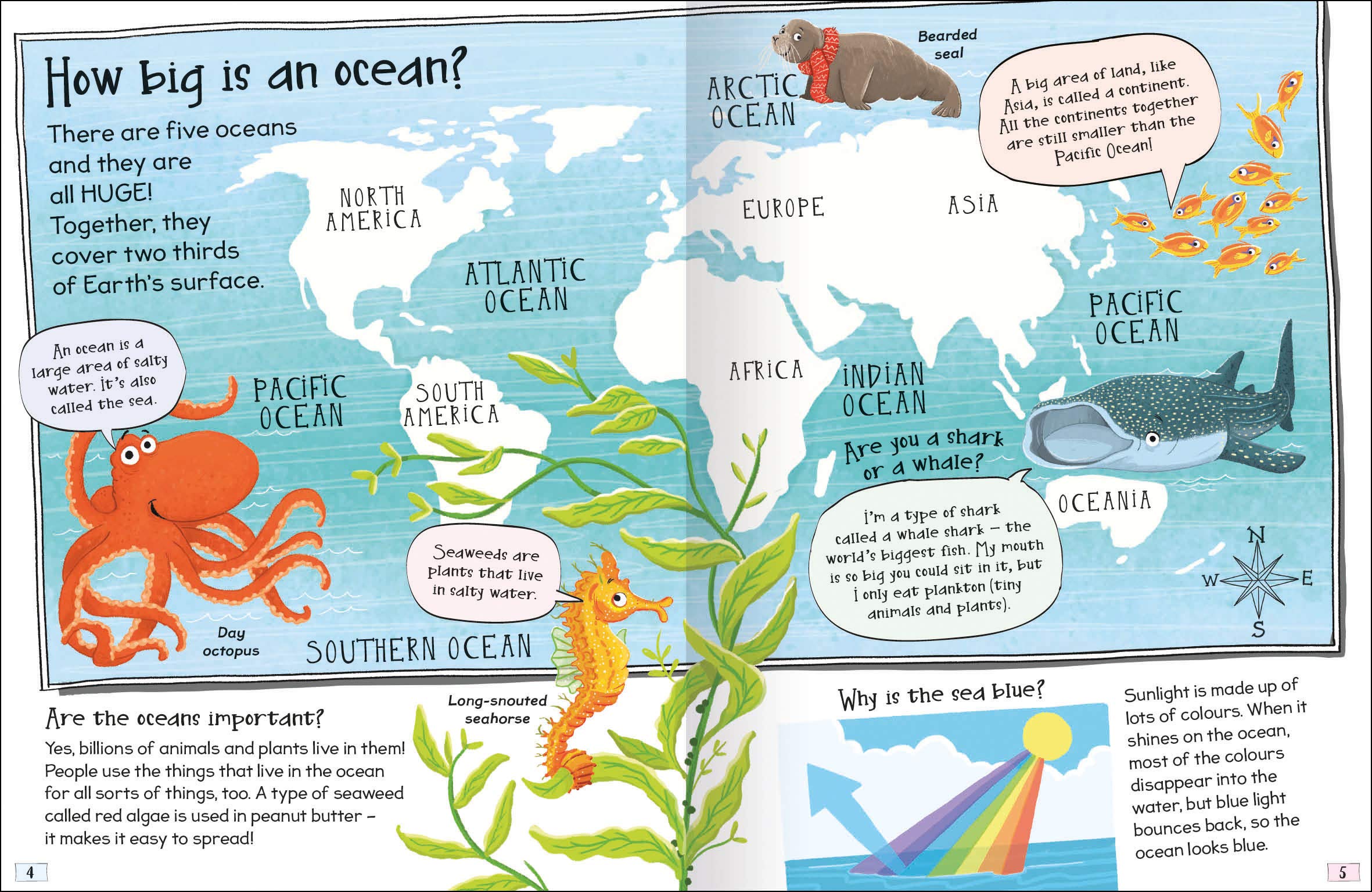 Curious Questions & Answers About Our Oceans