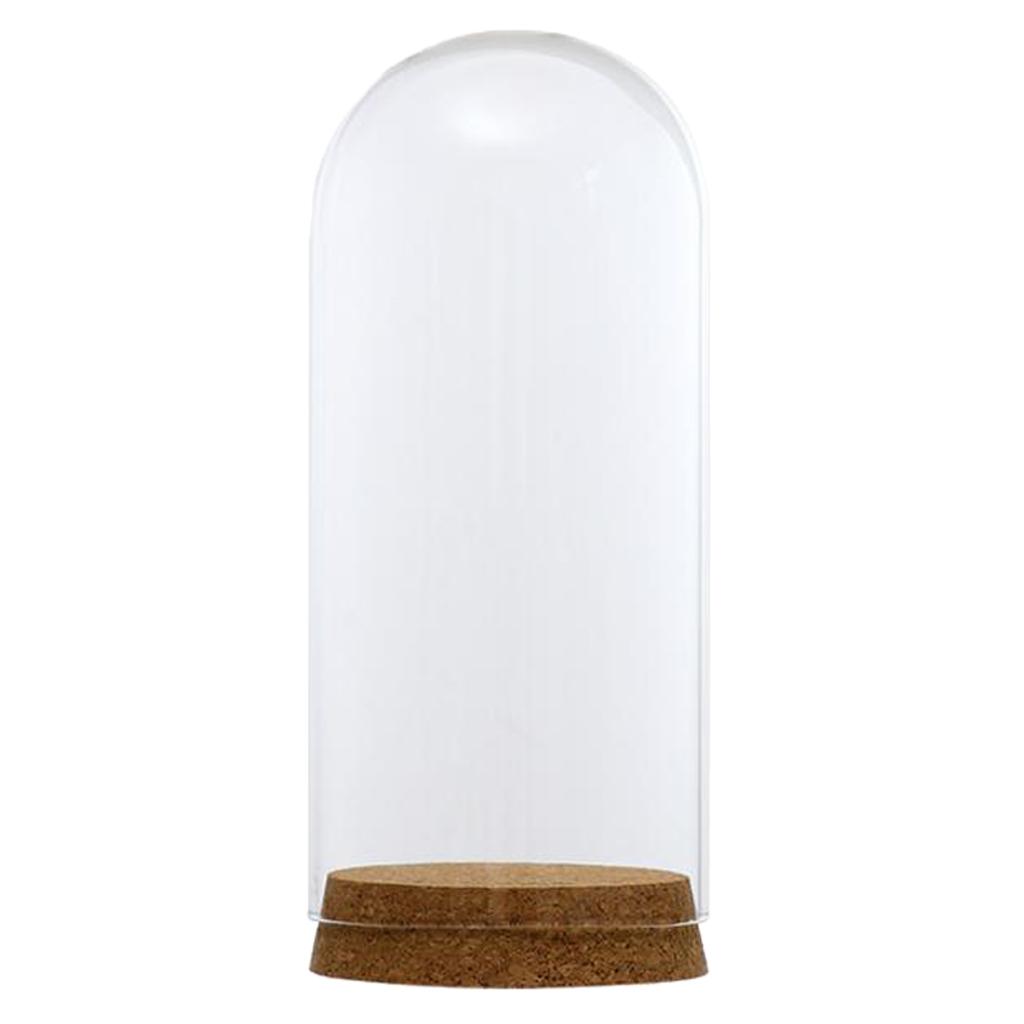 4xGlass Cover Landscape Terrarium Container Lid Vase Bottle 8x18cm
