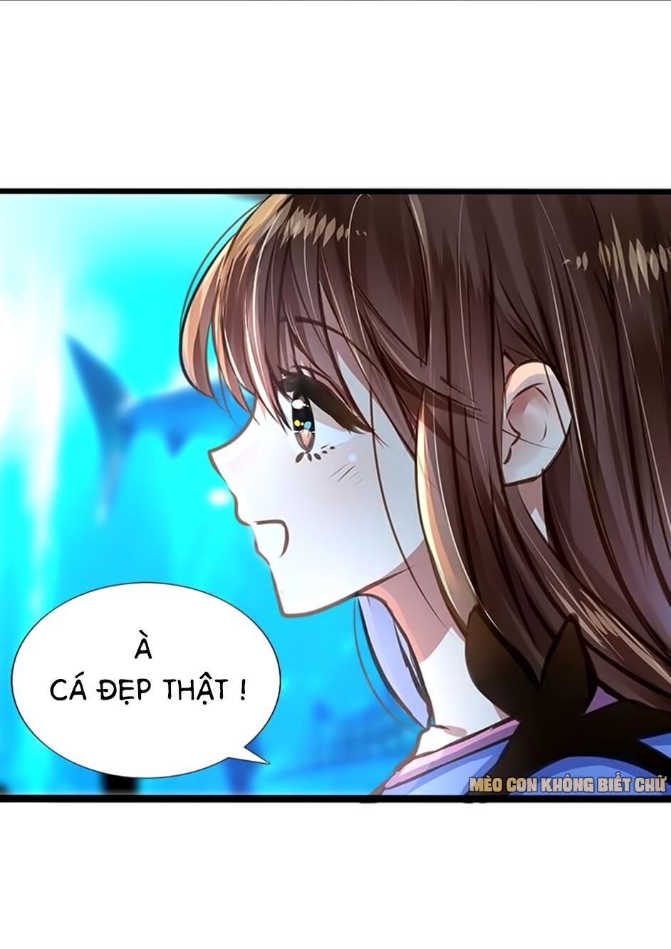 không có ssr làm sao để yêu chapter 6 9