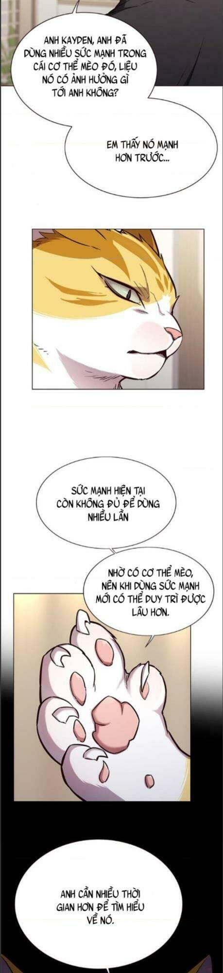 biến thân thành mèo chapter 164 11