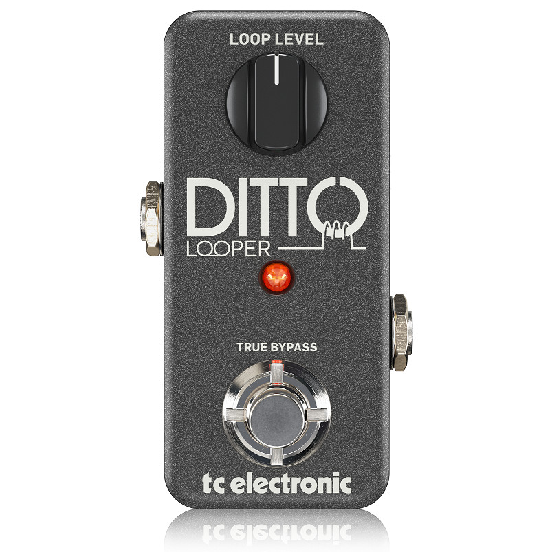 TC ELECTRONIC DITTO LOOPER GUITAR AND BASS EFFECTS-HÀNG CHÍNH HÃNG