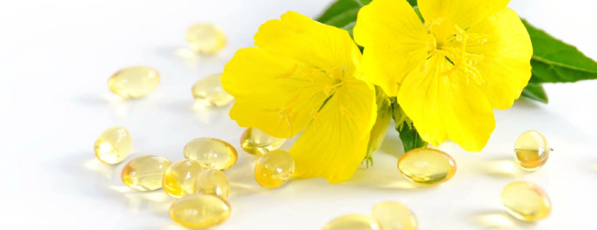 Hạt giống hoa Anh thảo mix gói 5 hạt