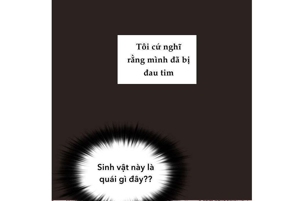 tình yêu như một giấc mộng hè chapter 0.3 16