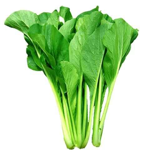 Hạt Giống Rau Cải Ngọt Cọng Xanh