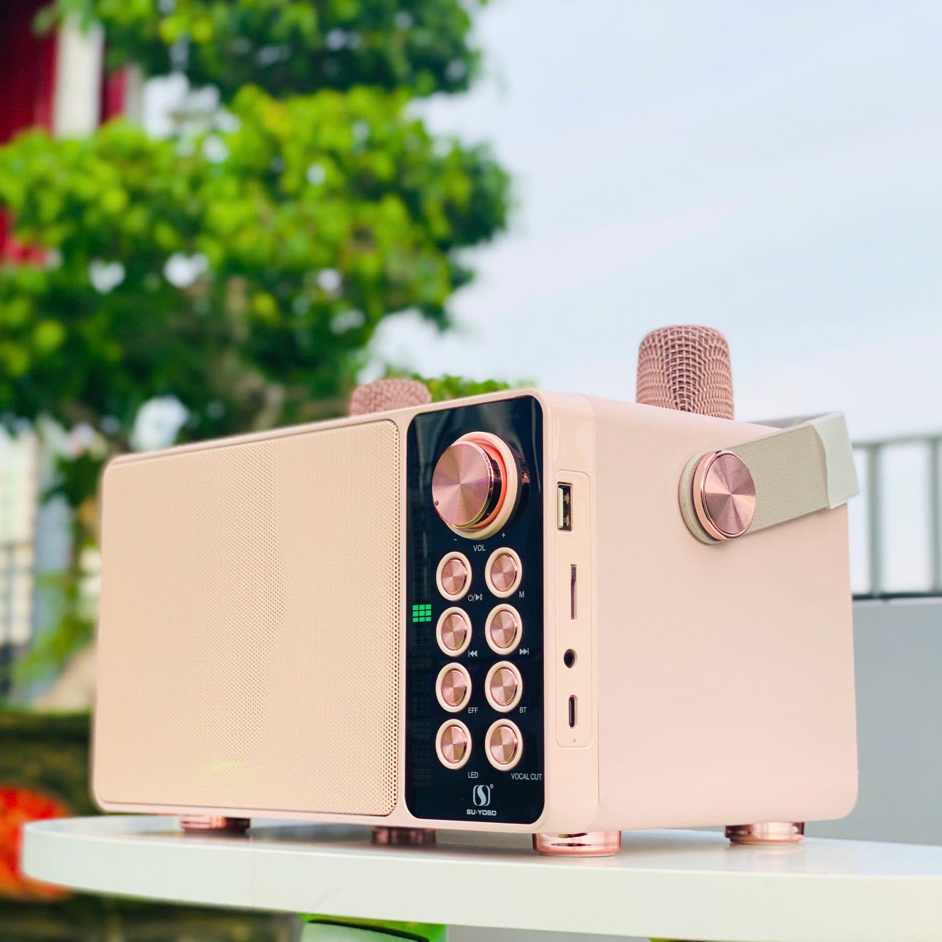 Loa Xách Tay Bluetooth YS-314, Công Suất 40W, Thiết Kế Nhỏ Gọn, Âm Thanh Cực Hay, Bass Căng, Kèm 2 Micro Không Dây Karaoke Cao Cấp, Bảo Hành 6 Tháng, Hàng Chính Hãng