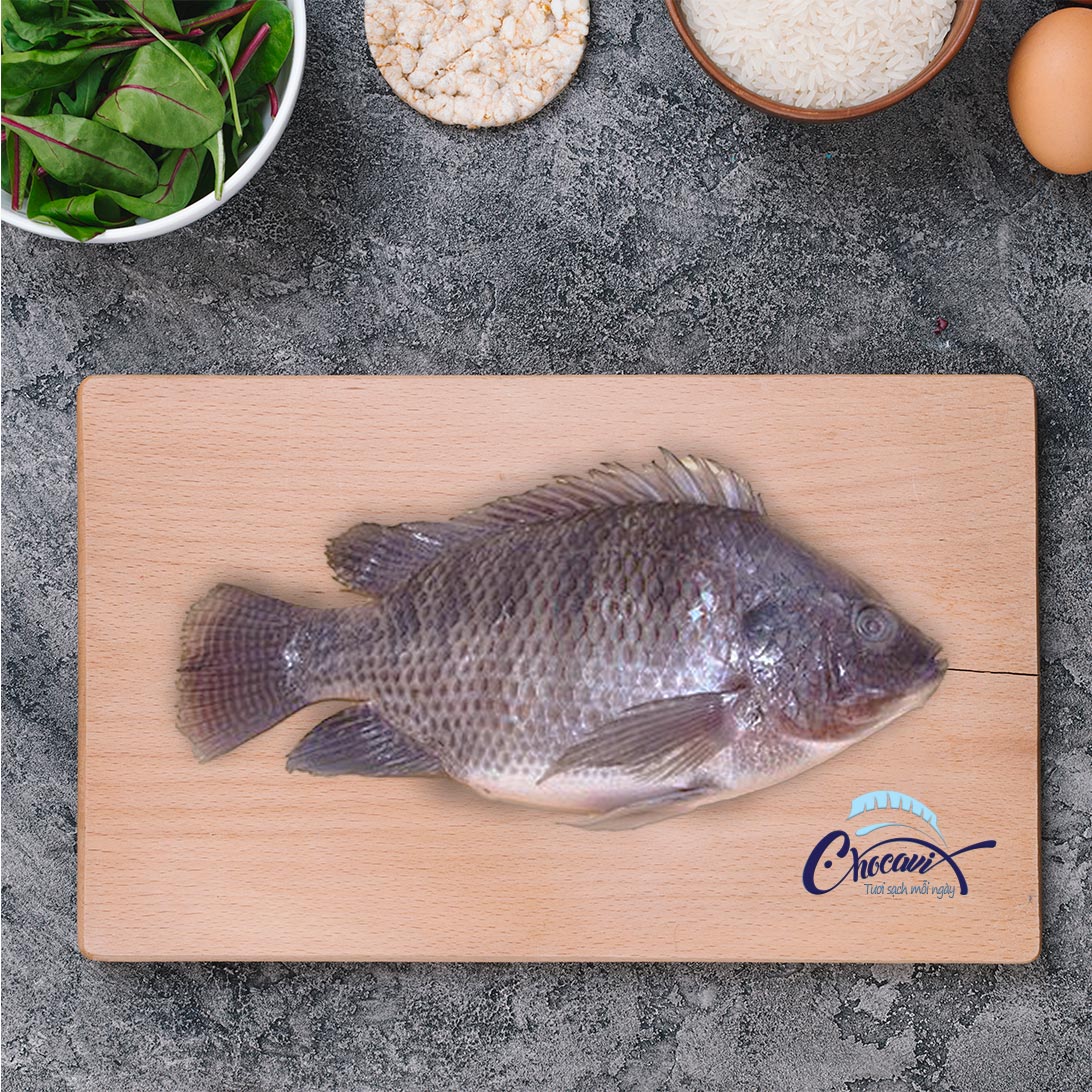 Cá Rô Phi Sống Size 1-1,5kg