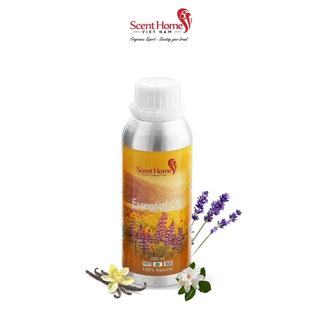 Tinh dầu Scent Homes - mùi hương
