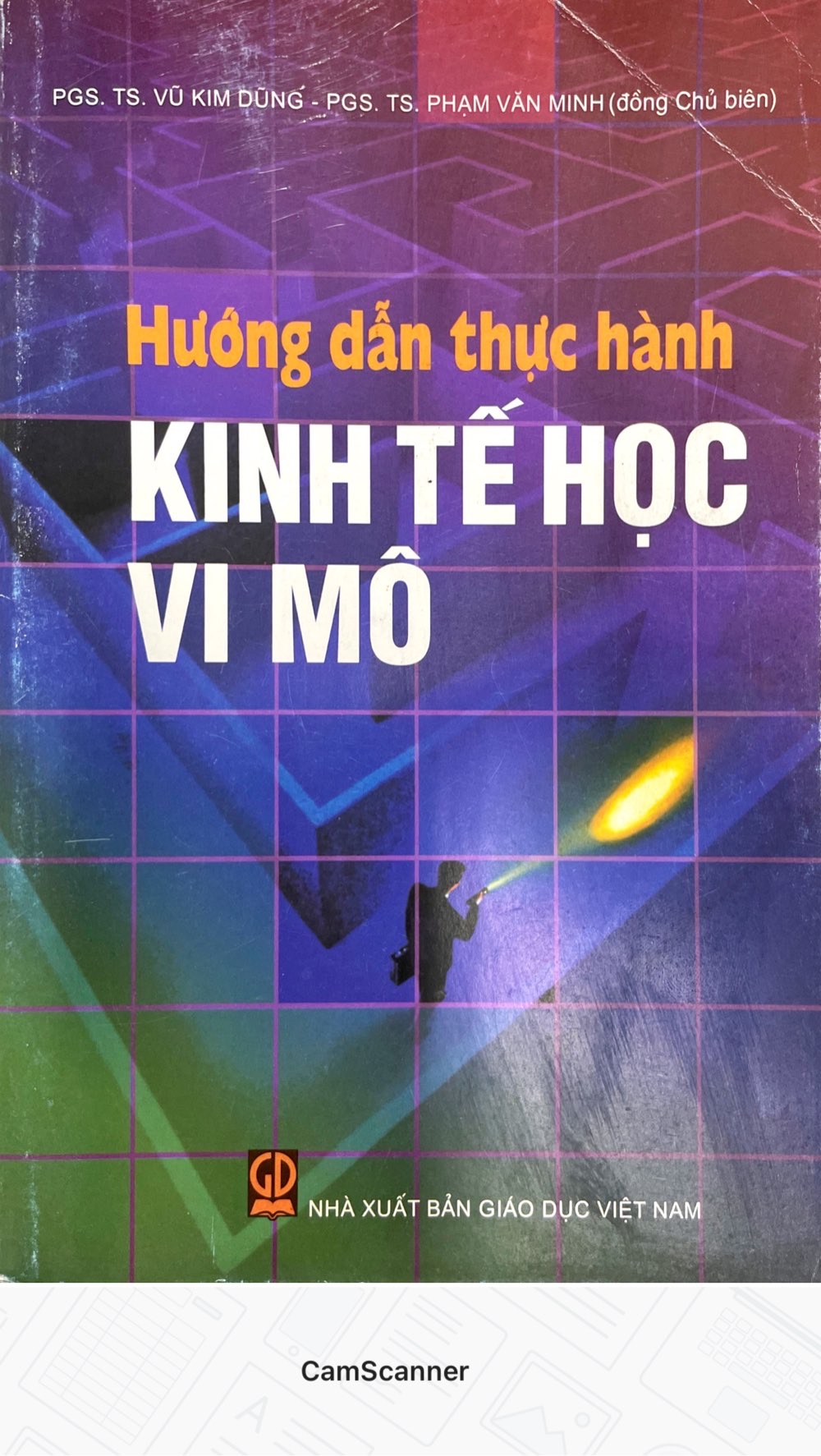 Hướng dẫn thực hành kinh tế học vi mô