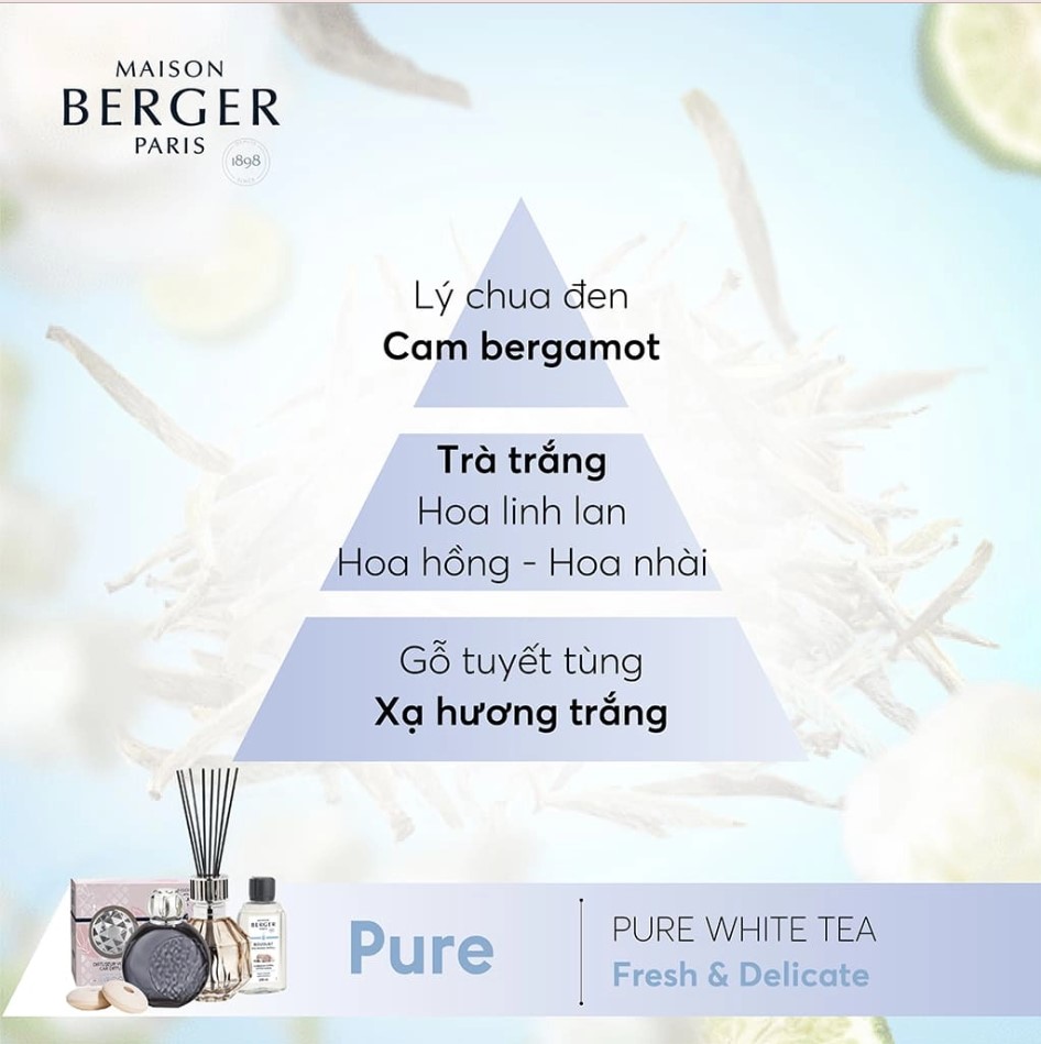 Maison Berger - Tinh dầu đèn xông hương Pure White Tea - 500ml