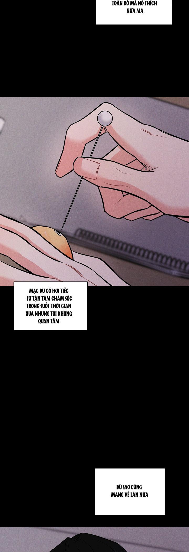 mặt trời của đêm chapter 15 36