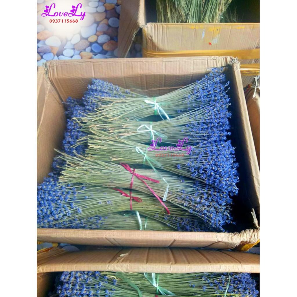 Bó hoa oải hương Lavender khô nhập Pháp 200 cành Tặng Túi Thơm Nụ Hoa Lavender