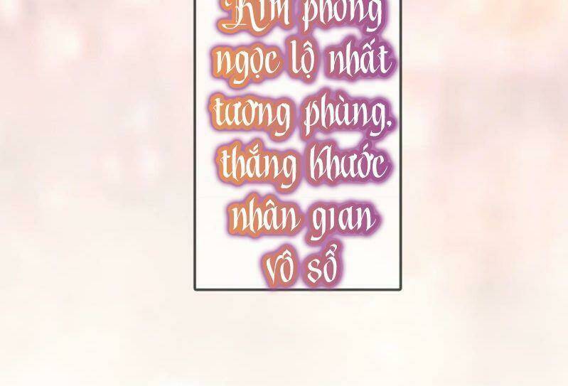 sủng phi của vương chapter 204 54