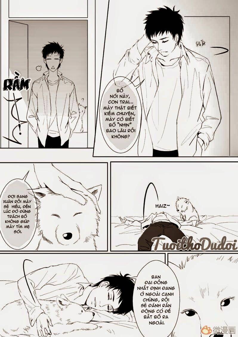 sự mê hoặc của sói chapter 8 3