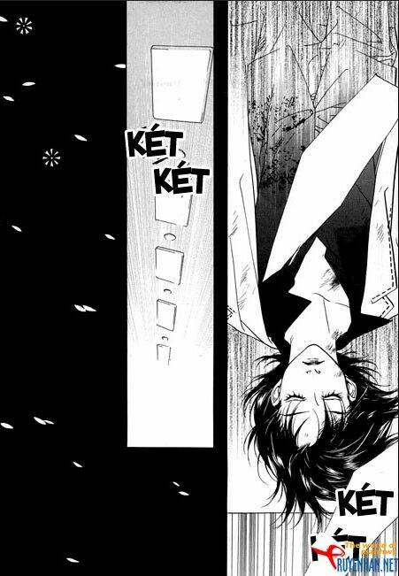 bông hoa của tội lỗi chapter 8 17