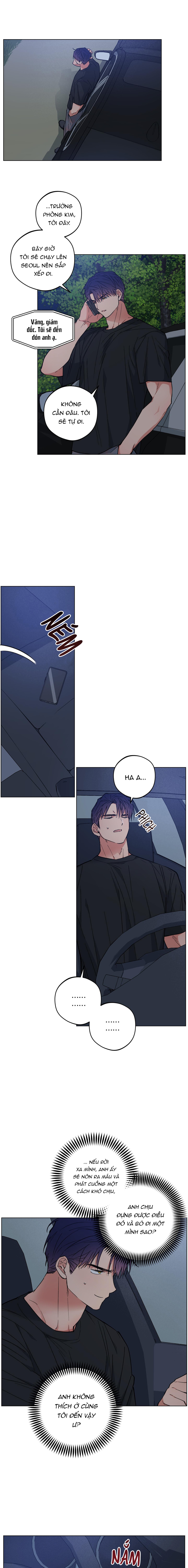 bình minh trên sông mây chapter 21 10