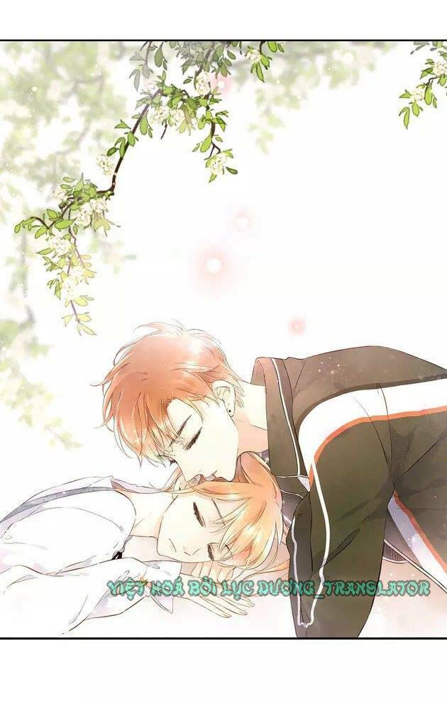 Tình yêu là màu hoa anh thảo chapter 20.5 5