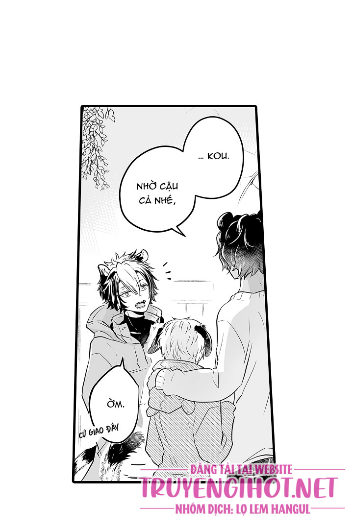 gấu ngủ đông chapter 1.3 12