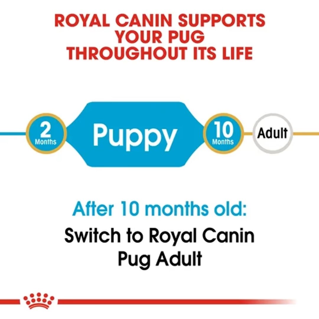 Hạt Khô Dành Cho Chó Pug Từ 2-12 Tháng Tuổi: Royal Canin Pug Puppy