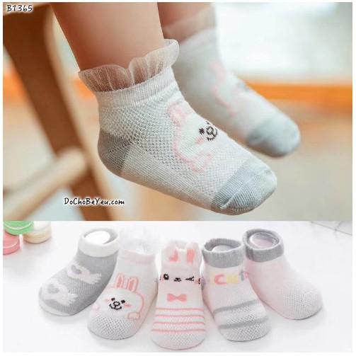 Set 5 đôi tất lưới cổ ngắn kidsock mẫu mới nhất 2020