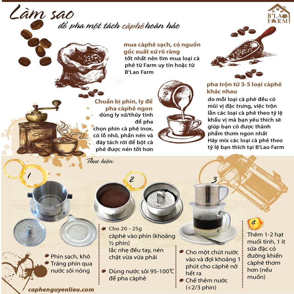 Cà phê Robusta Honey nguyên chất rang mộc 100% B'Lao Farm vị đắng đầm hậu ngọt sâu thơm nồng dành cho pha phin pha máy