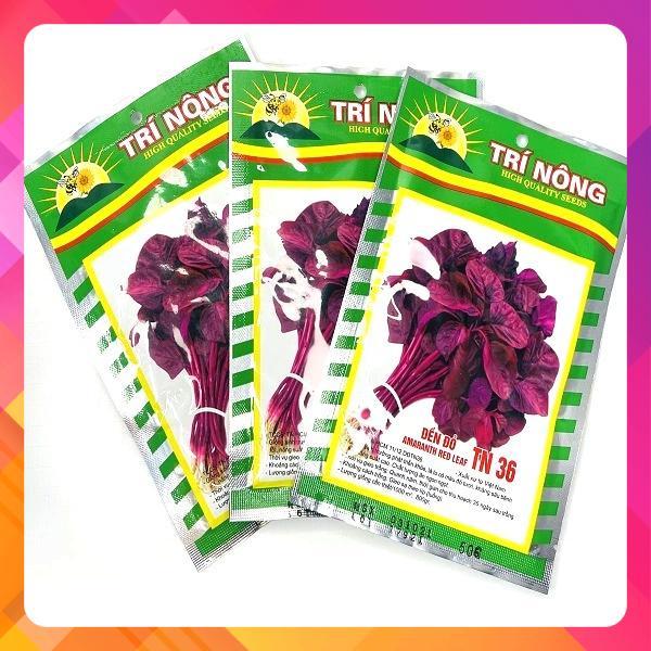 Hạt giống rau dền đỏ TN 36