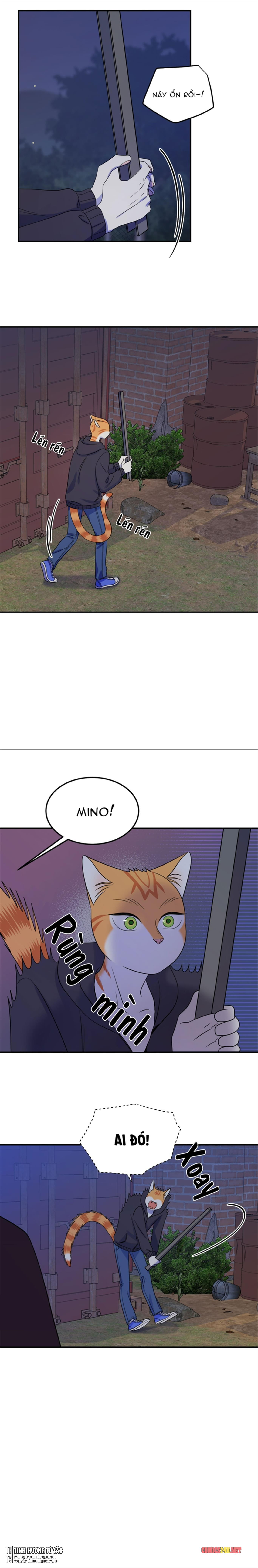 dự án xanh chapter 17 7