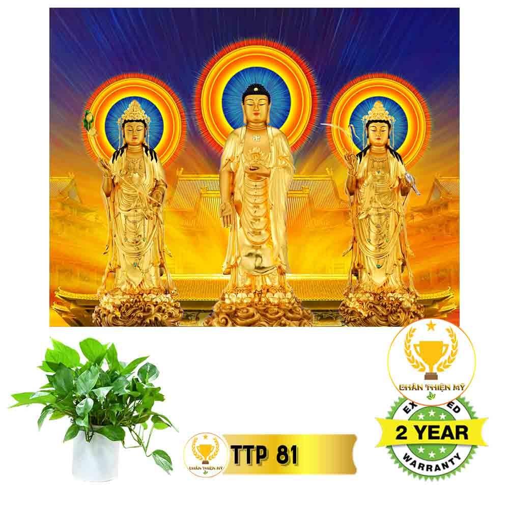 Tranh Tam Thế Phật có khung_TTPK7