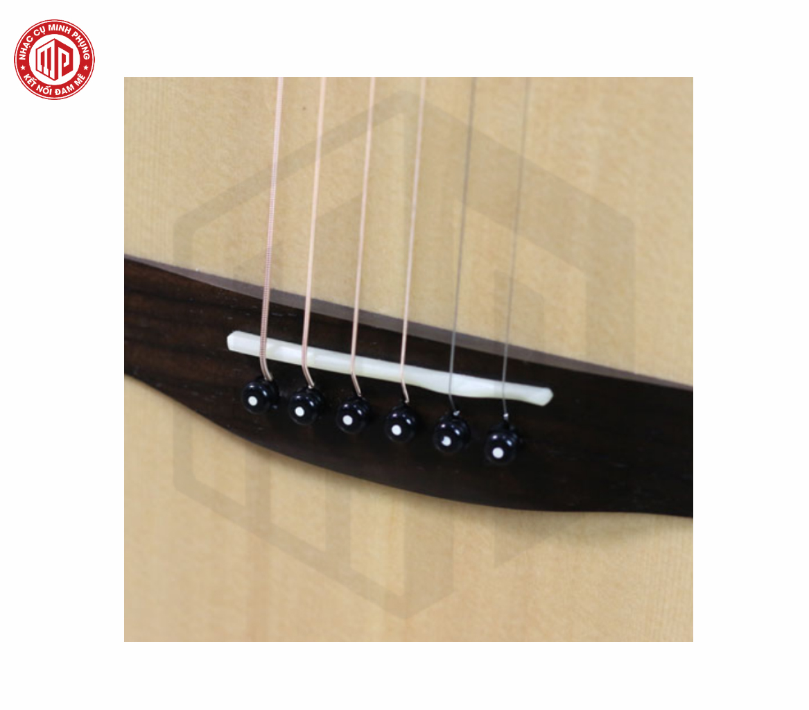 Đàn Guitar Acoustic Hex D350CE - Hàng chính hãng