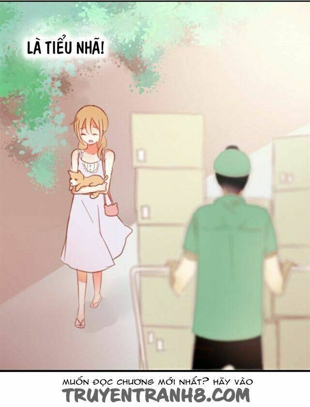 phụ đạo sau giờ học chapter 5 11