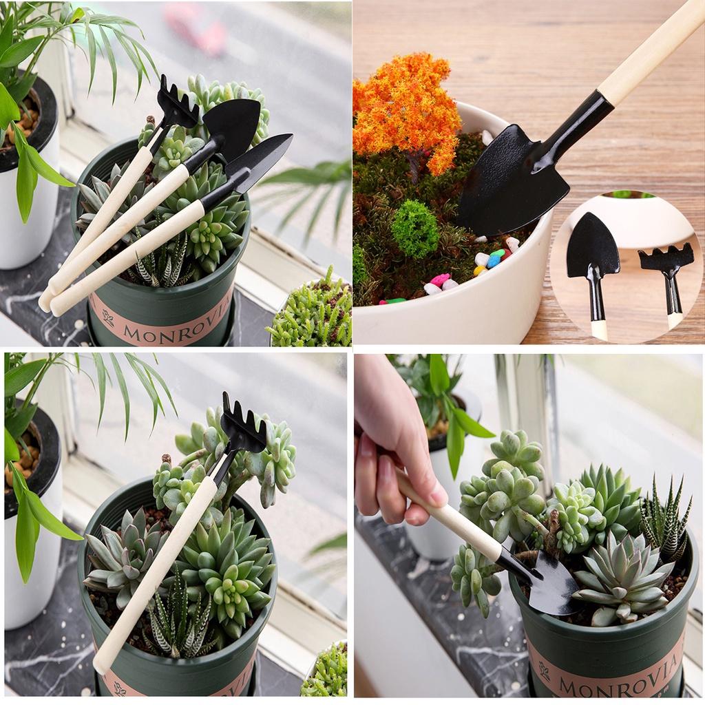 Bộ cuốc xẻng mini trồng cây, trồng xương rồng, trồng sen đá và các cây cảnh mini khác