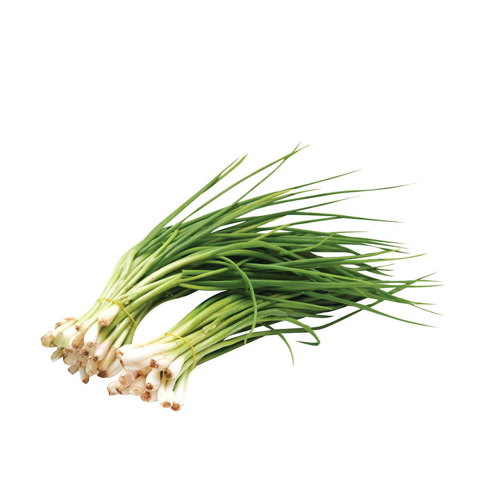 Hạt giống hành hương xanh