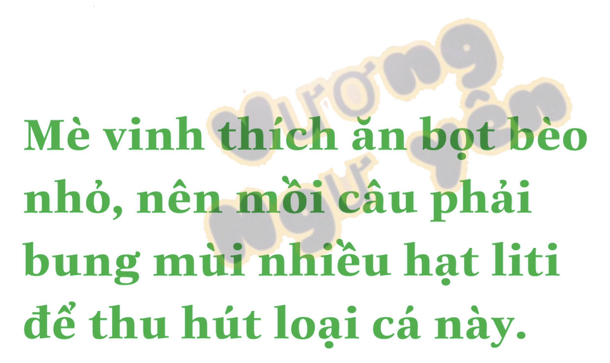 Bài Mồi câu cá chuyên Mè Vinh  / cá dưng ( gói lớn 1/2kg )_ Vương Ngư Yên / bột câu cá / cước / thẻo / cần câu / ô dù / ghế câu / lưỡi câu