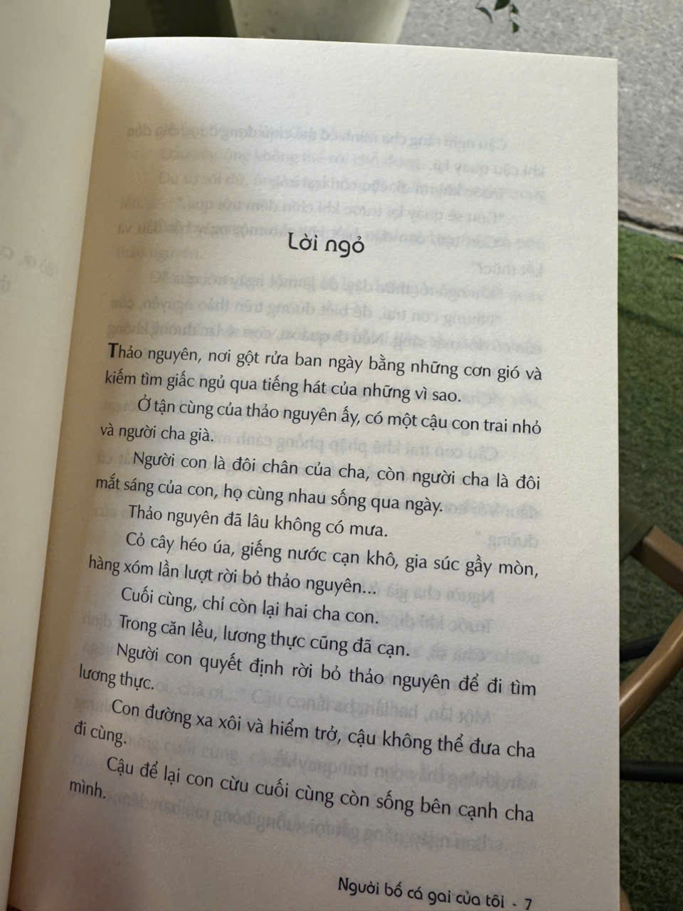 NGƯỜI BỐ CÁ GAI CỦA TÔI – Cho Chang-in – Nguyễn Thị Thu Vân dịch – Nhã Nam