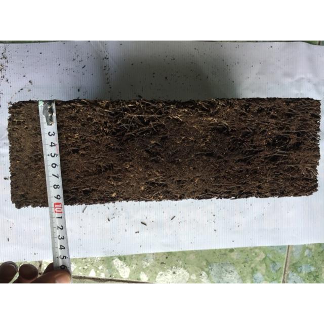 Combo 5 bản dớn 12*30*3mm