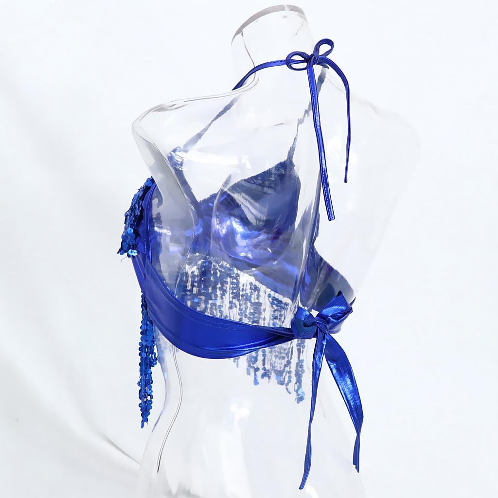 Belly Dance Bra Tops And Hip Scarf Sequin Beaded Costume Set for Festival Performance