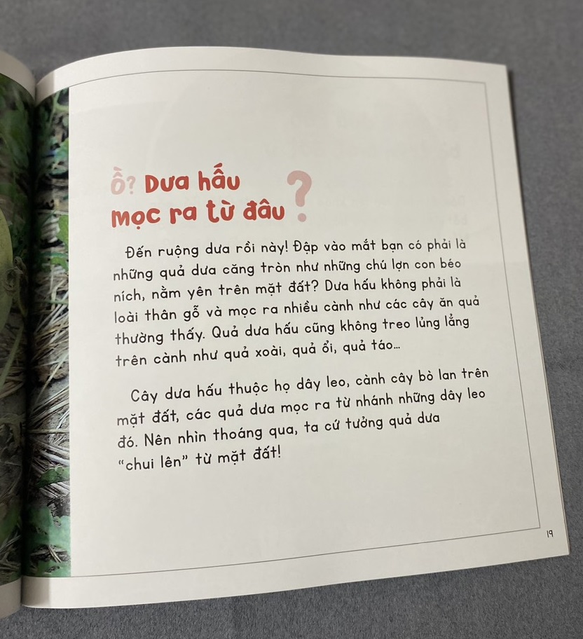 Sách - Kính vạn hoa thiên nhiên: Quả tình bạn
