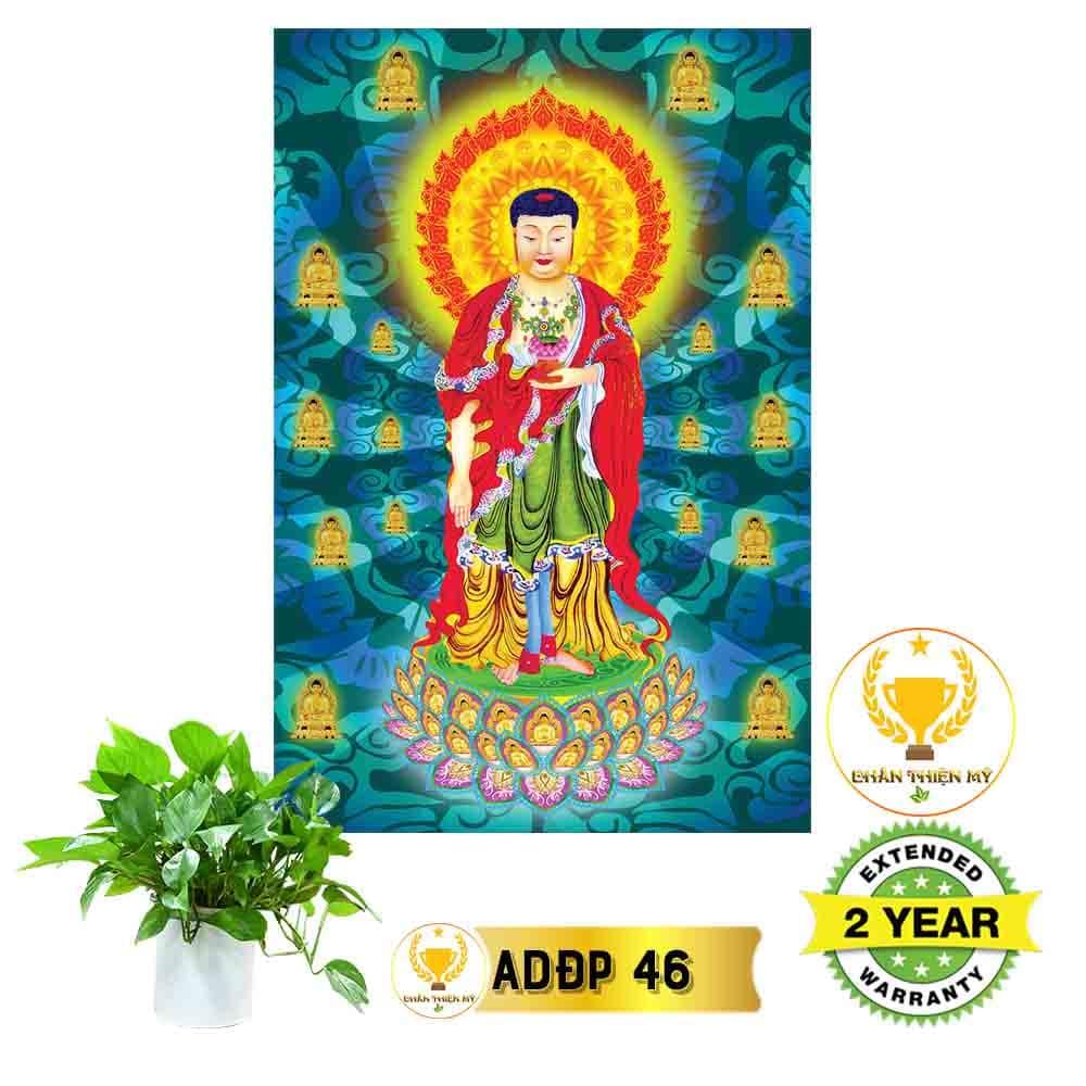Tranh Phật A Di Đà có khung_ADDK9