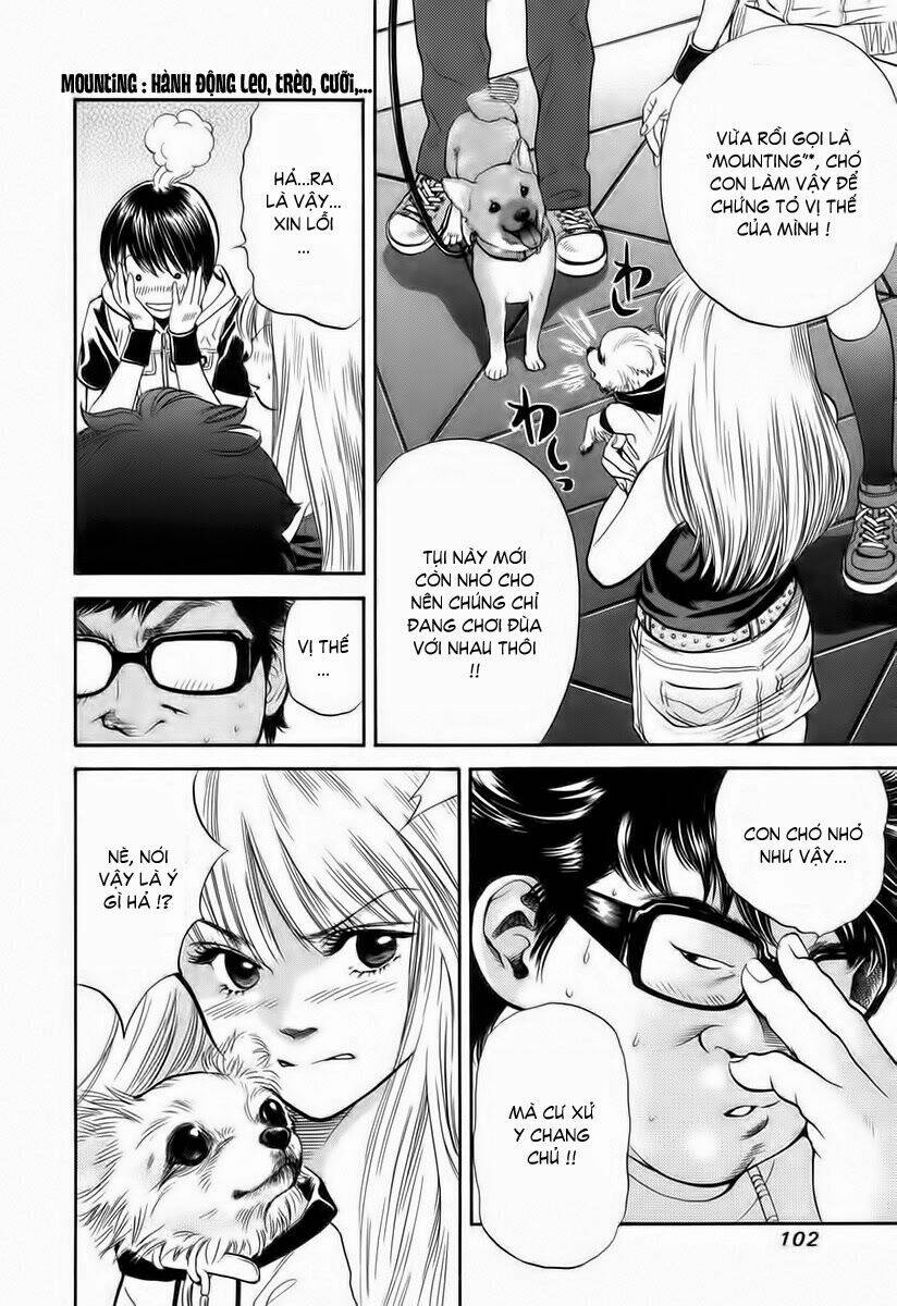 cô nàng yêu chó chapter 36 4