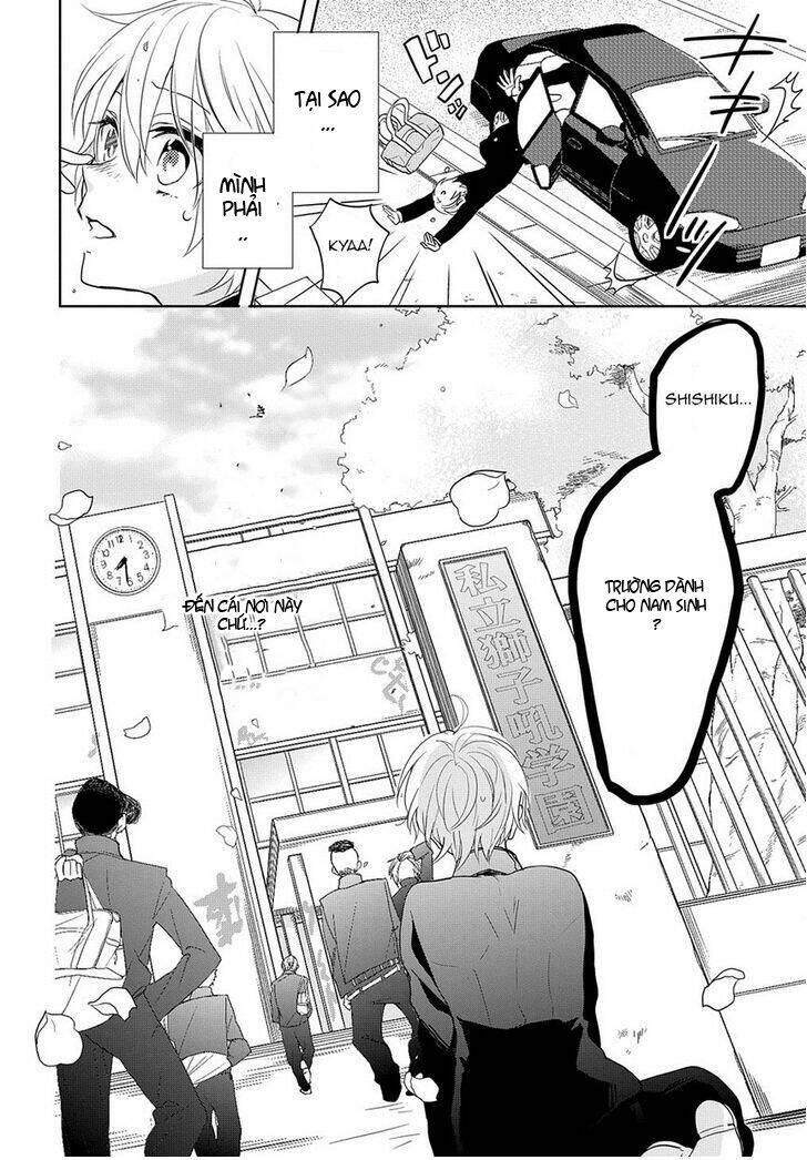 kenka banchou otome - koi no battle royal chapter 1.1 4