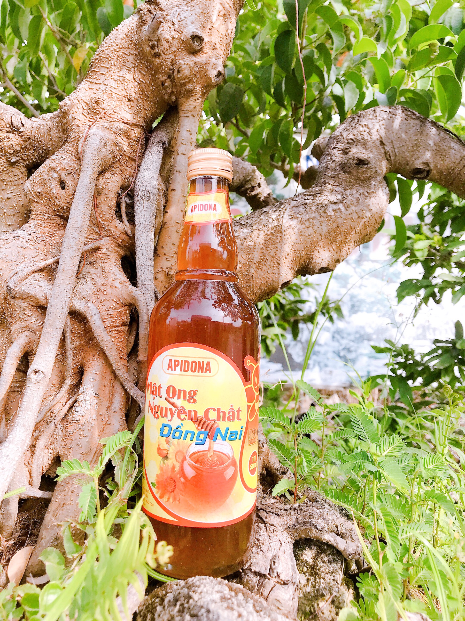 MẬT ONG NGUYÊN CHẤT ĐỒNG NAI 500ML