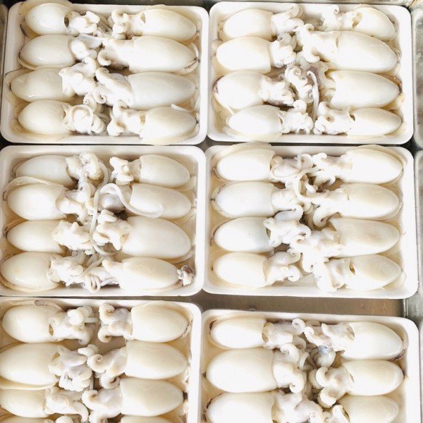 Mực Bầu Baby Khay 500g