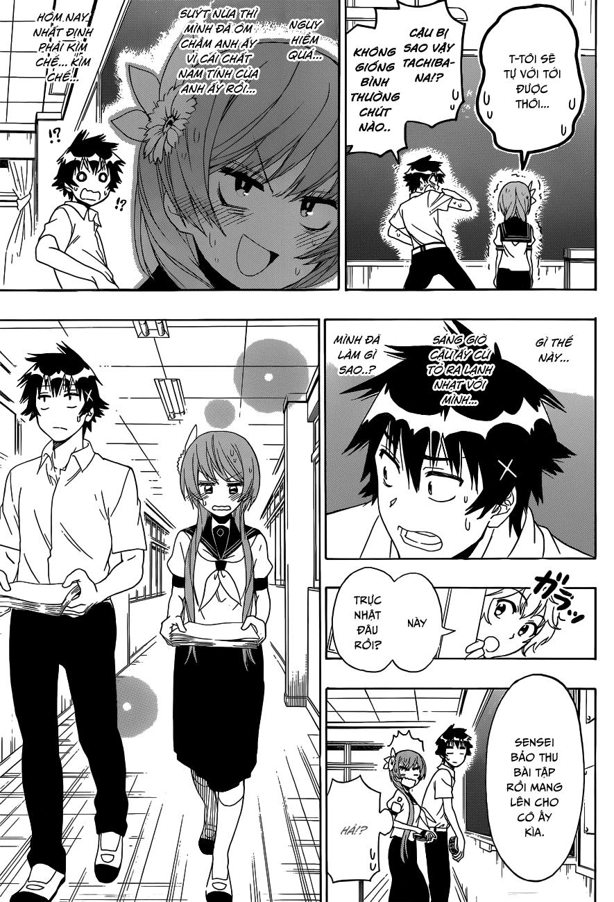 nisekoi - tình yêu giả tạo chapter 129 10
