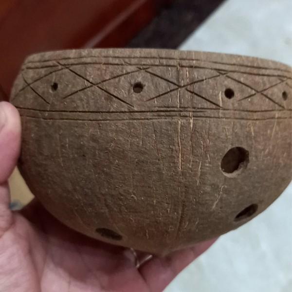 Chậu gáo dừa trồng đẹp bộ 10