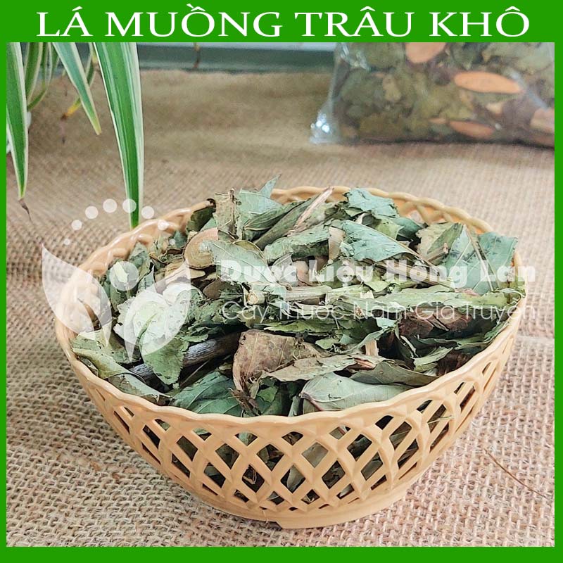 Lá Muồng Trâu khô đóng gói 1kg
