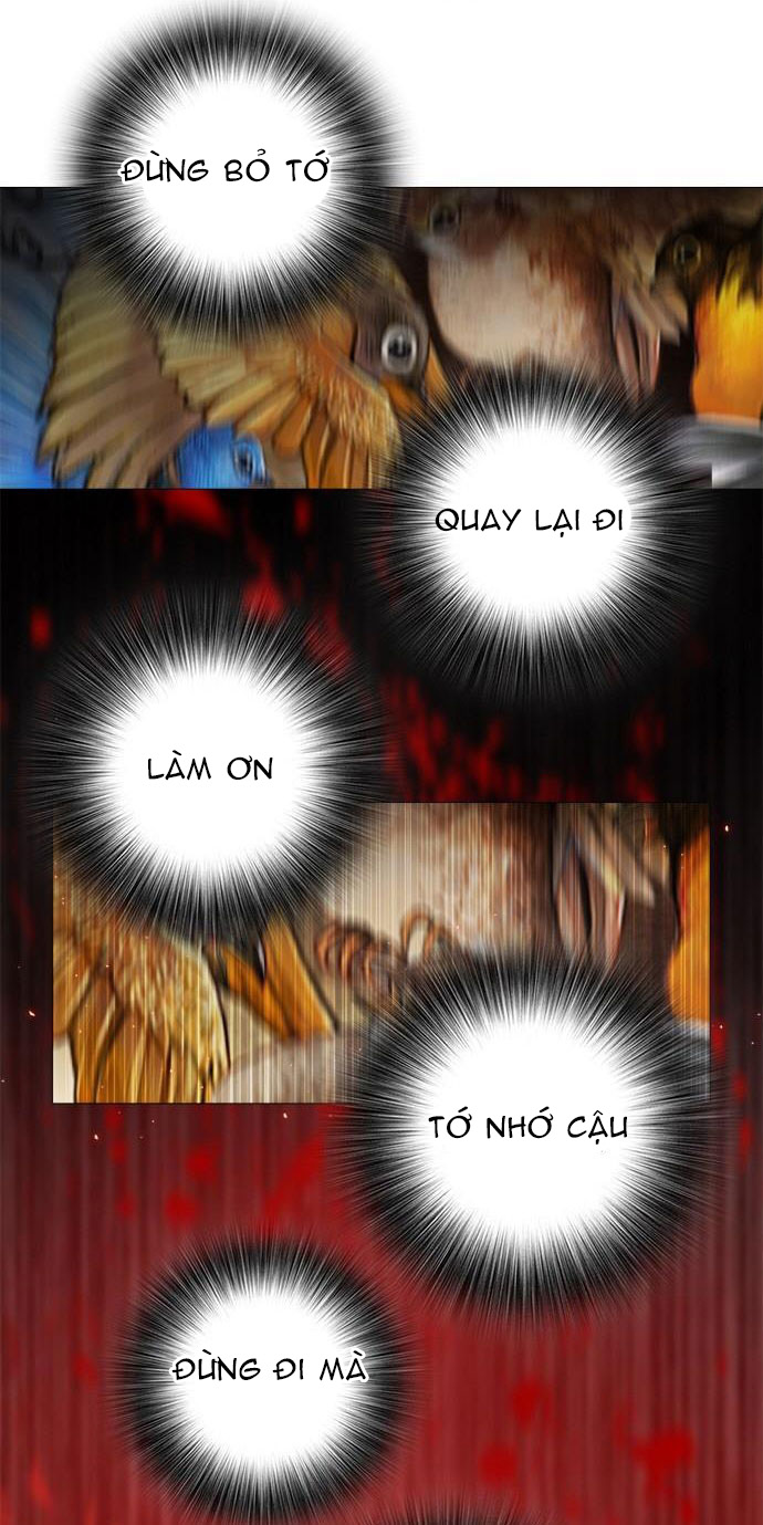 tôi chính là nhà sưu tập chim chapter 17 4